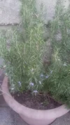 20180409_172925.webp