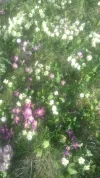20180409_173040.webp