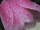 DSCN4027.webp