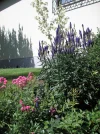 PICT0005.webp