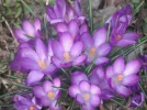 DSCF0709.webp