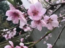 606F67B4-DBCC-4F8B-8C5E-3750F95EC03B.webp