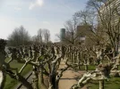 P4020498.webp