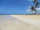im Paradies . . ..webp