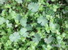 PICT0011.webp