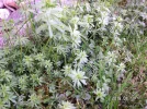 PICT0002.webp