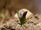 20140309_122130.webp