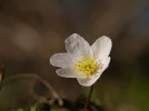 20130413_174107.webp
