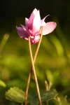 20160819_193002_02.webp