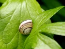 20130520_122200.webp