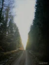 Licht.webp