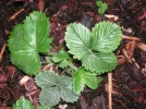 PICT0014.webp