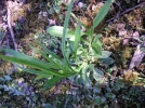 PICT0011.webp