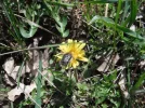 DSCF0783.webp