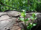 DSCF0799.webp