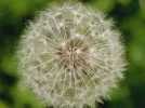 02_1112.webp
