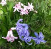 20180406_130518.webp