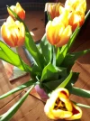 20180417_175157.webp