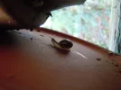 DSCN0325.webp