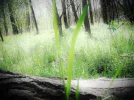 DSCF0802 (3).webp