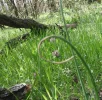 DSCF0792 (2).webp