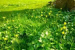 P4180056 (3).webp