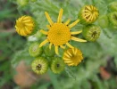 DSCF0844 (3).webp