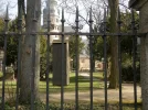 P4020504.webp