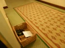 P3310060.webp