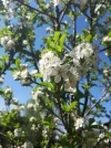 20180420_132115.webp