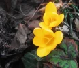 DSCF0705 (4).webp