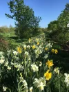 IMG-20180421-WA0013.webp