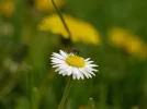 20130427_141823.webp