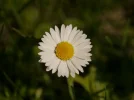 20180415_095656.webp