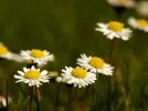 20180415_094335.webp