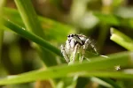 20130519_085140.webp