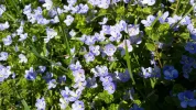 20180420_145416.webp