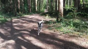 20180421_164354.webp