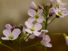 20180415_094829.webp