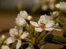 20180415_095953.webp