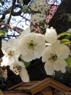 IMG_20180414_141101.webp