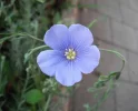 DSCF0907.webp
