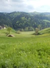 001.webp