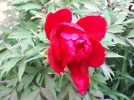 20180426_124941.webp