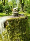 moos_steine.webp