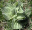 DSCF0841 (5).webp