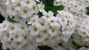 20180430_183633.webp