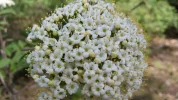 20180428_152516.webp