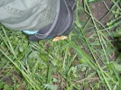 DSCF1009.webp