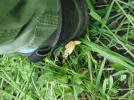 DSCF1017.webp
